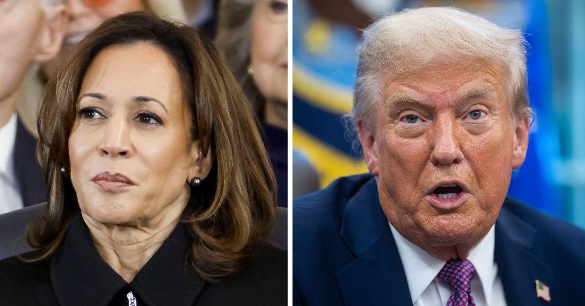image of Kamala Harris said business leaders must eventually stand up to Donald Trump.
