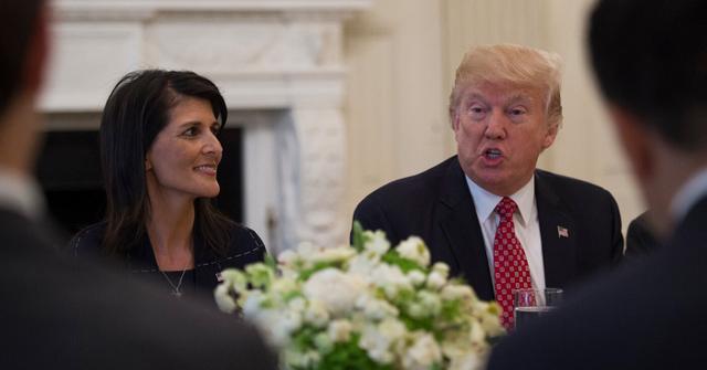 donald trump insists win nikki haley apitude test