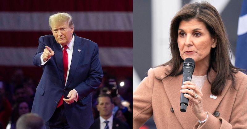 donald trump lahses out nikki haley winning