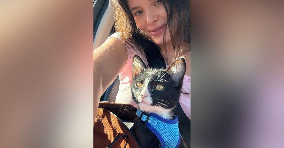 Image of Bella Thorne has a new cat.