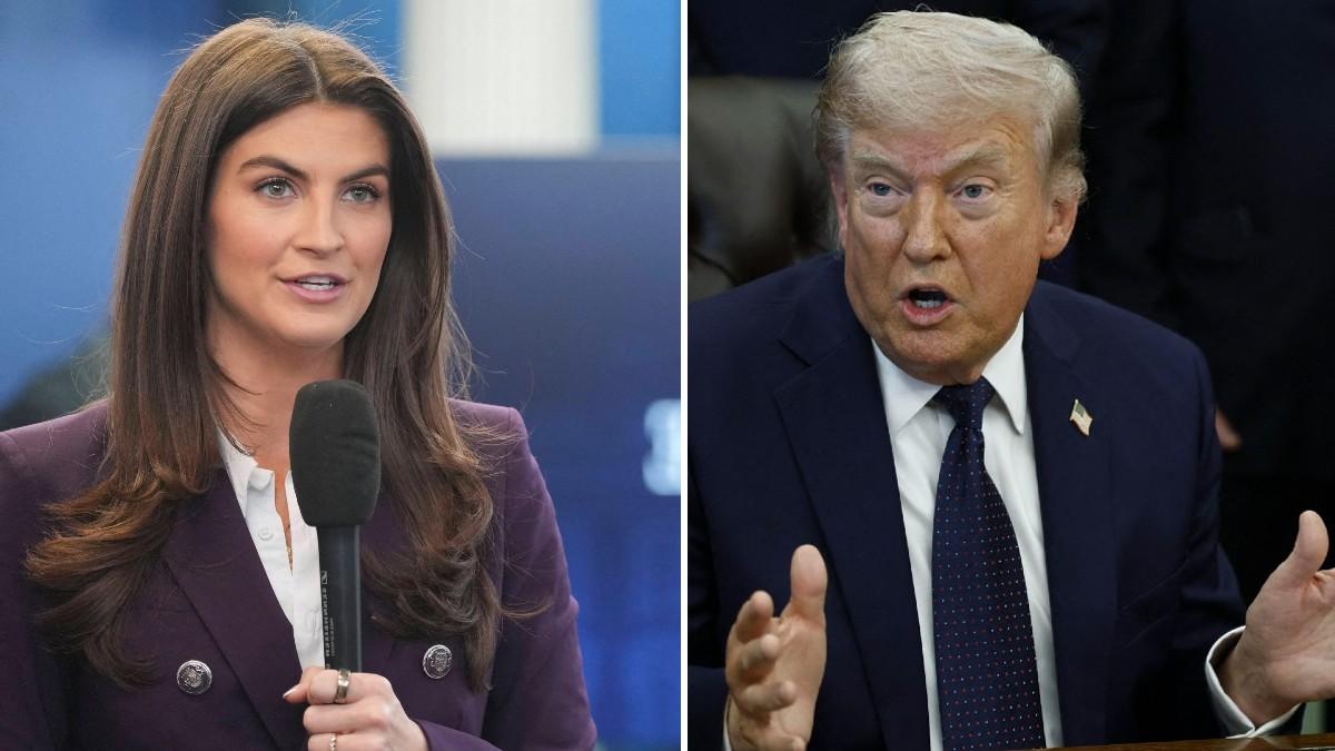 split of Kaitlan Collins, Donald Trump. 