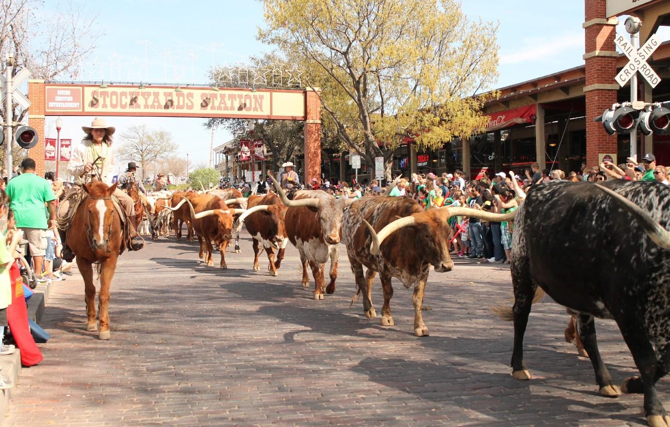 Mule Alley in Fort Worth Stockyards brings new life to district