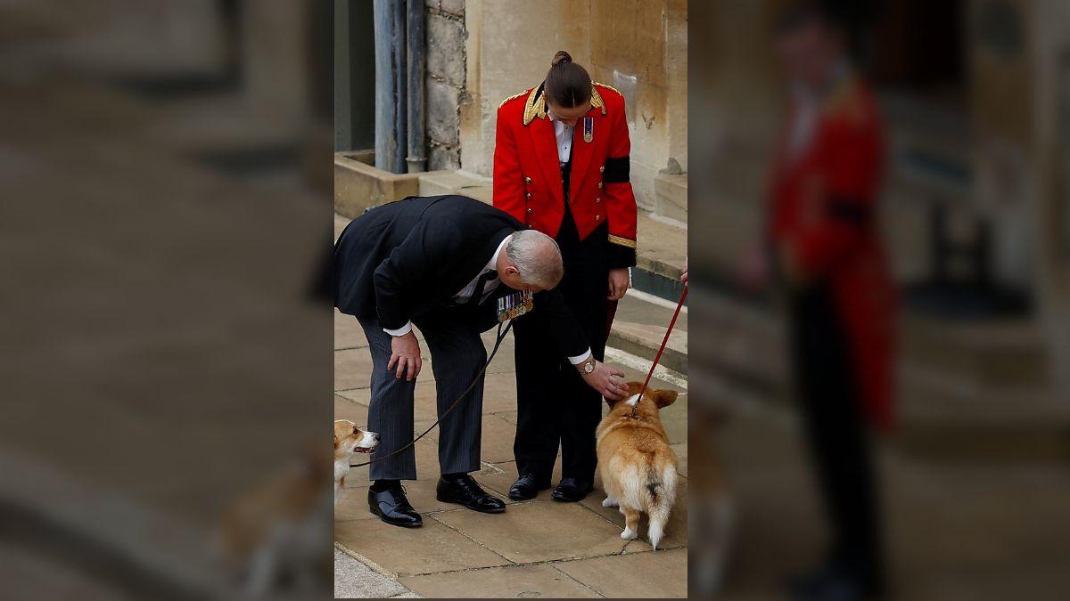 image of Ex-Prince Andrew could reportedly find himself in a courtroom clash over the custody of the royal corgis.