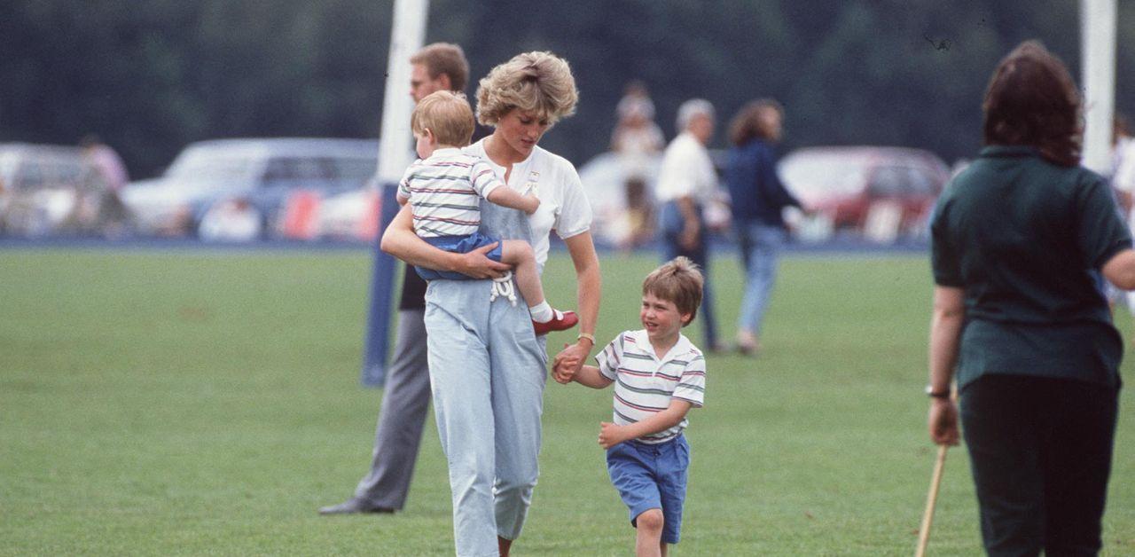 peacemaker princess diana would make prince harry apologize king charles