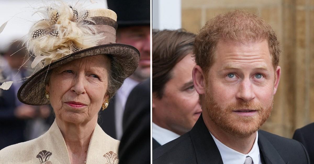 Princess Anne 'Unhappy' With Prince Harry For Upsetting Queen Elizabeth