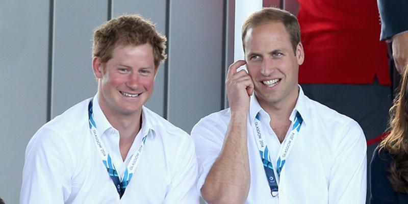 prince william planning harry bachelor party pp