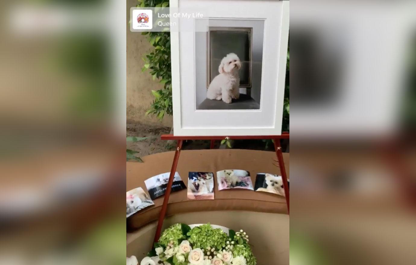 Ashley Tisdale Holds Funeral One Day After Her Dog Maui Passes