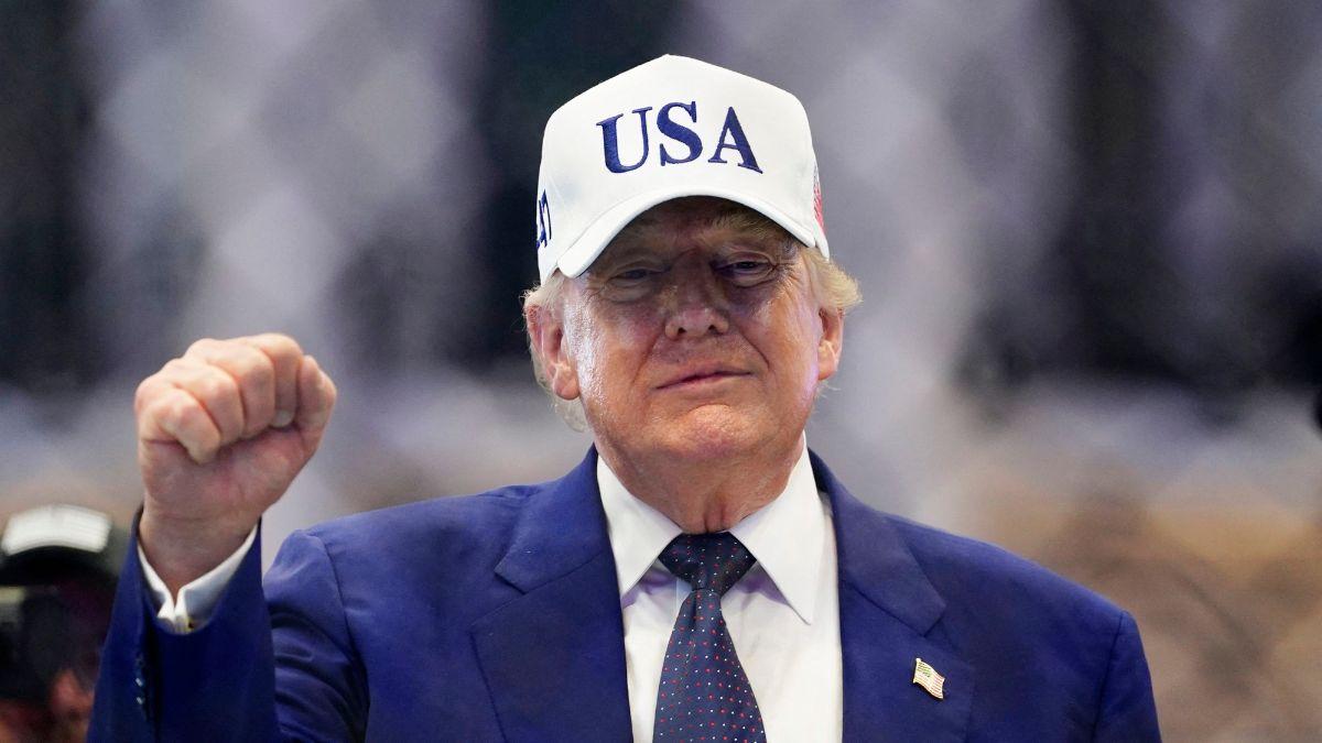 Image of Donald Trump's response left the podcaster laughing.