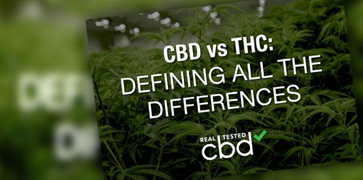 CBD THC