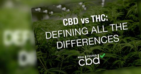 CBD THC
