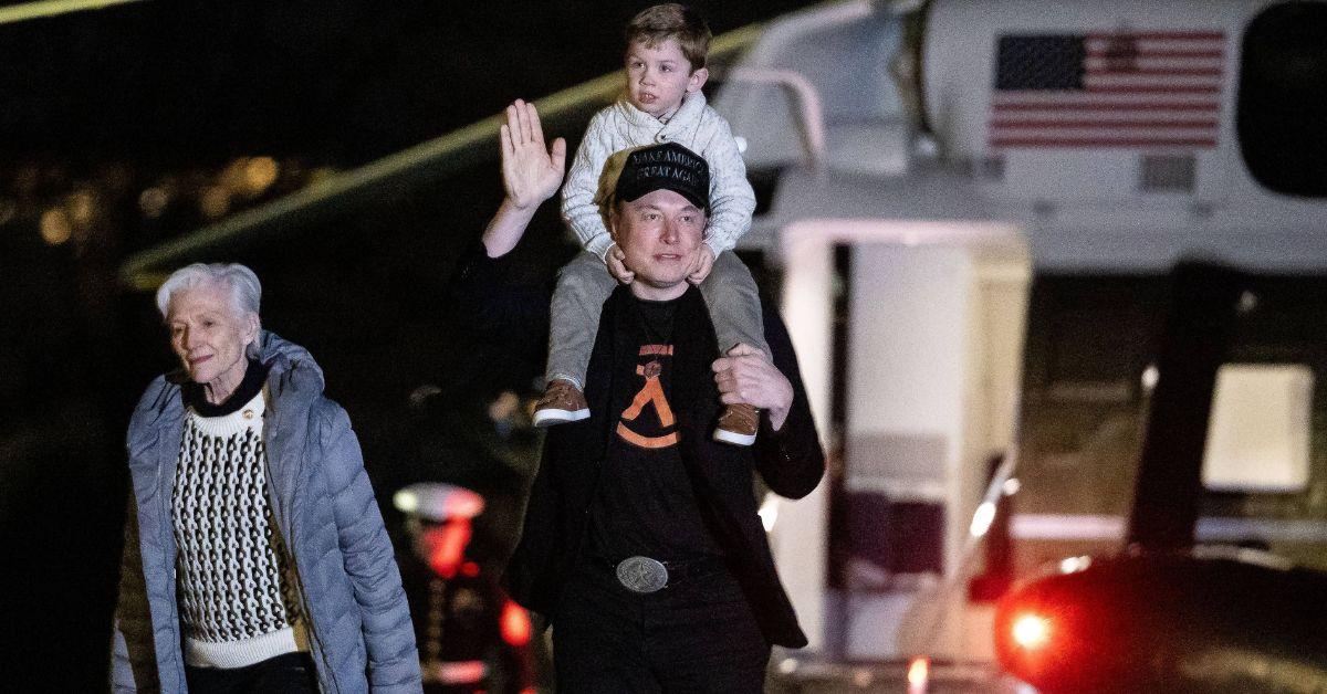 image of A DNA test reportedly confirmed Elon Musk as the father with 99.9999 percent probability.