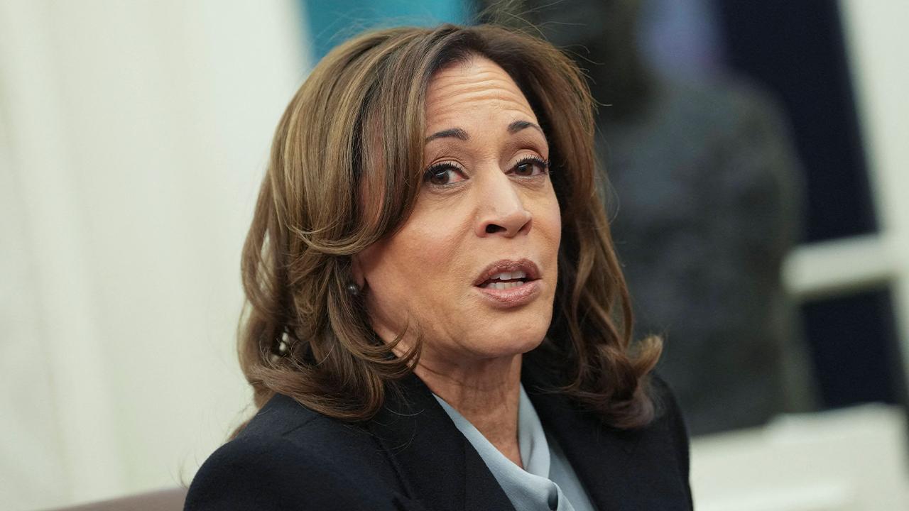 Image of Harris said Democrats must be 'ruthless' in their restoration of checks and balances.