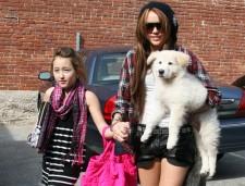 2010__01__miley_cyrus_09_wenn5423278 225×171.jpg