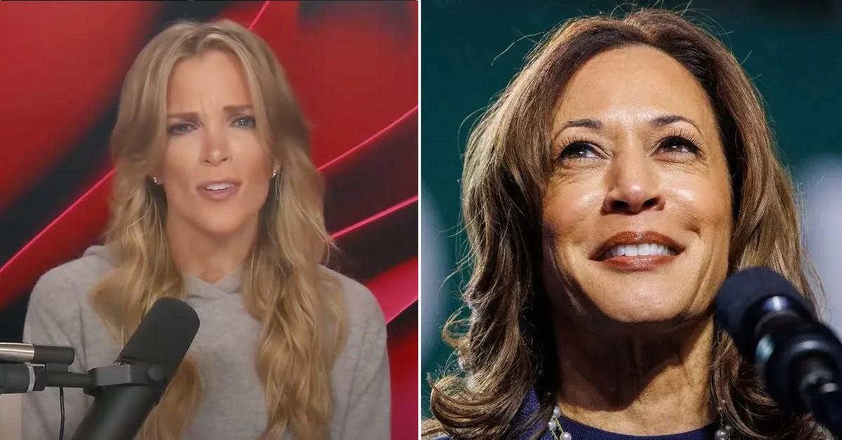megyn kelly calls kamala harris stupid acting arrogant  election campaign