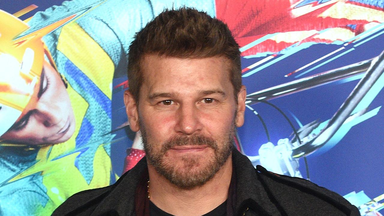 David Boreanaz