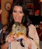 2009__12__kimkmonkeycrop.jpg