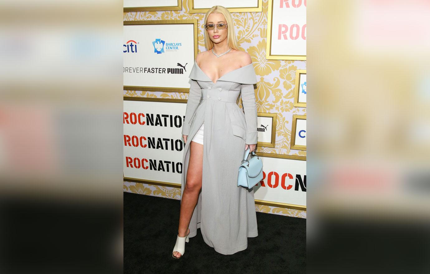 Iggy in grey dress