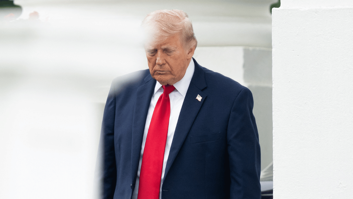 pic of Donald Trump. 