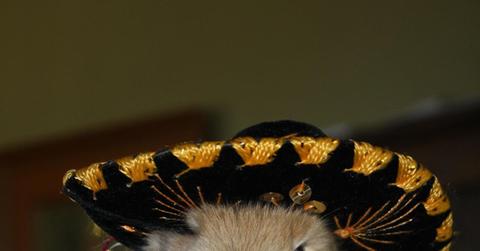Bunny With A Sombrero