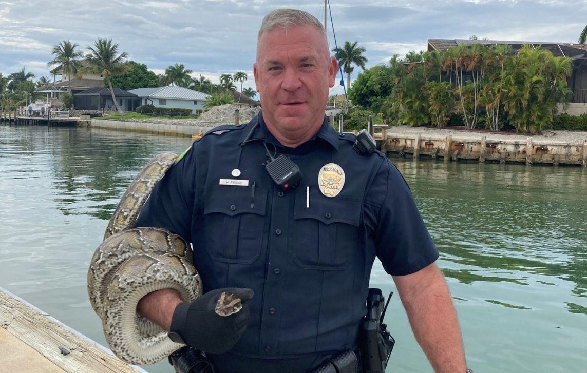 foot python florida sailboat released to wildlife handler