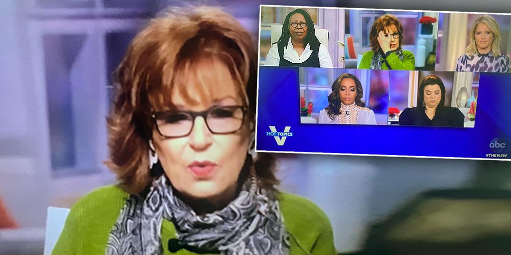 Joy Behar takes over The View