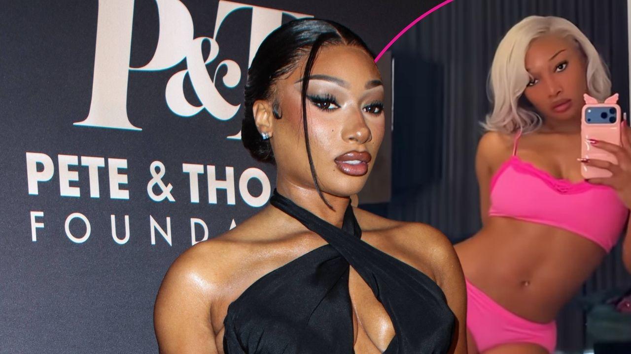 pic of Megan Thee Stallion.