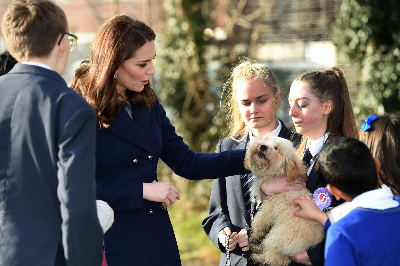 pregnant kate middleton petting puppy pics 02