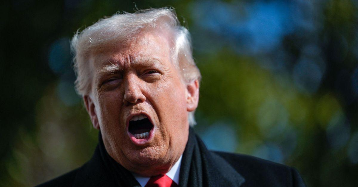 image of The prominent biographer of Donald Trump said the president speaks to almost anyone with his number.