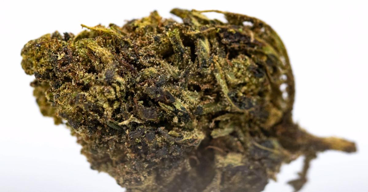 Best Delta8 THC Flower Top Delta8 Flowers to Buy Online in 2021