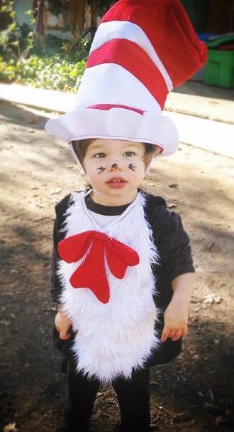 cat in the hat costume baby