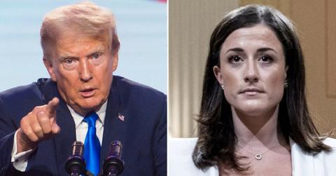 donaldtrump cassidyhutchinson pp