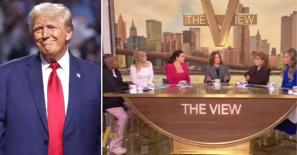 Composite photo of Donald Trump and The View