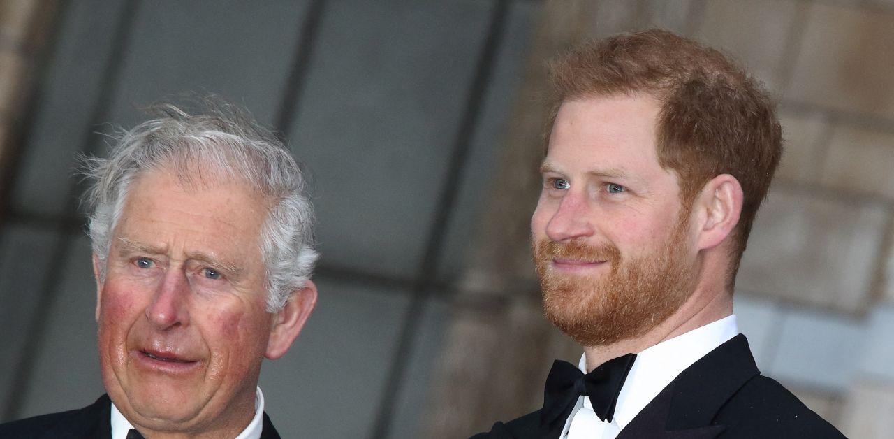 prince harry realizing has only one family after damage relationship royals