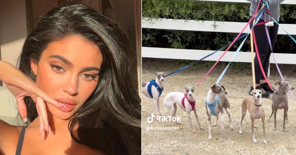 kylie jenner ripped apart never spending time  dogs