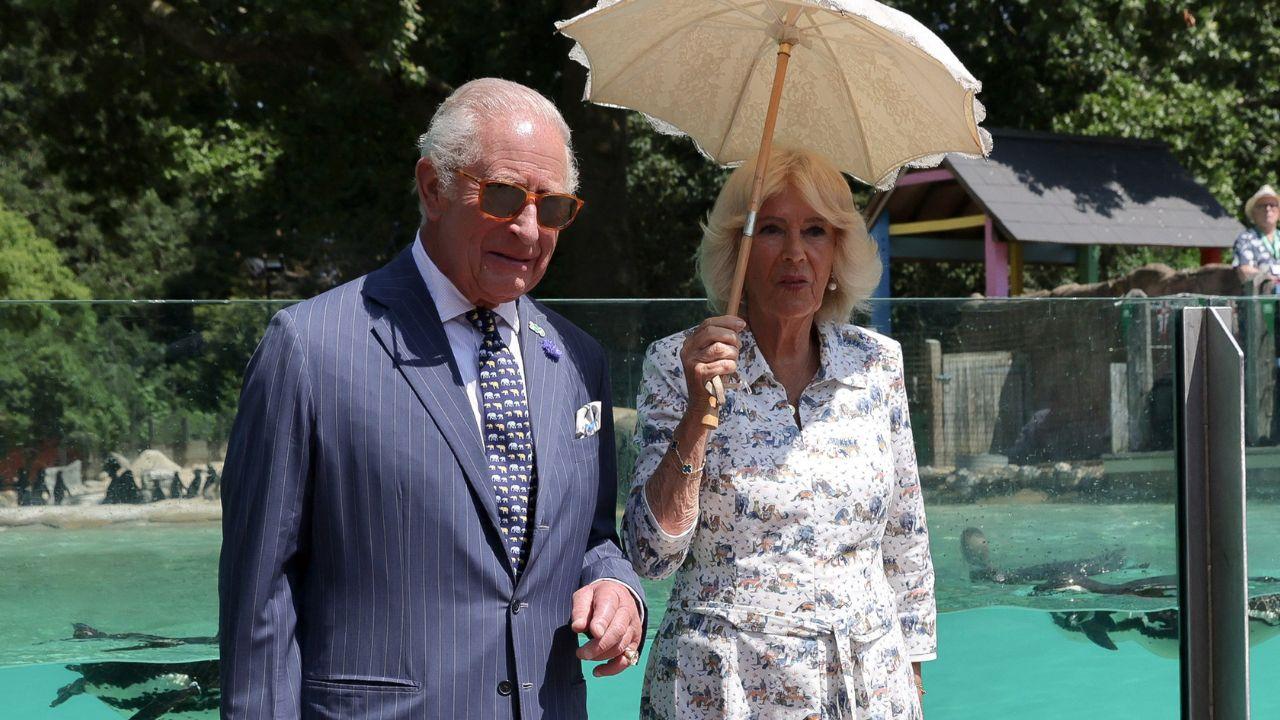 Image of Prince Harry’s July visit brought him together with King Charles, Queen Camilla and his family.