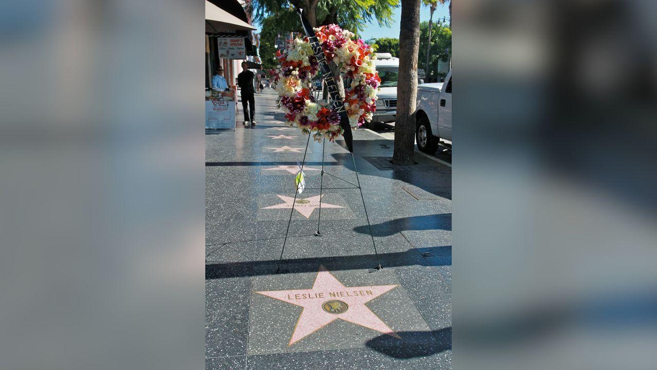 Image of Leslie Nielsen's star on the Hollywood Walk of Fame