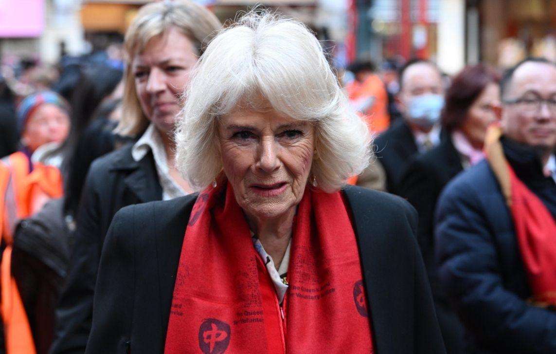 camilla parker bowles lower profile queen consort charles