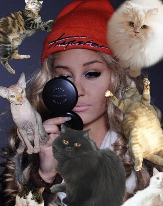 //amanda_bynes_fans_bizarre_artwork_cats