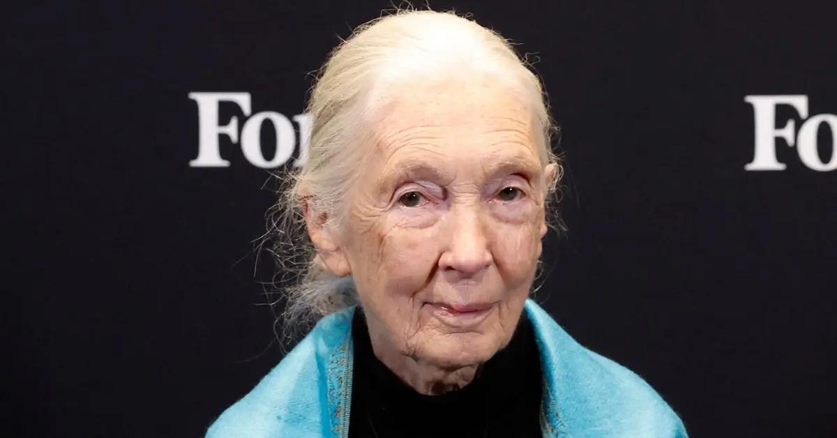 Photo of Jane Goodall.