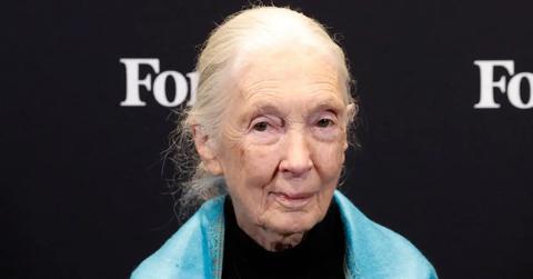 Photo of Jane Goodall.