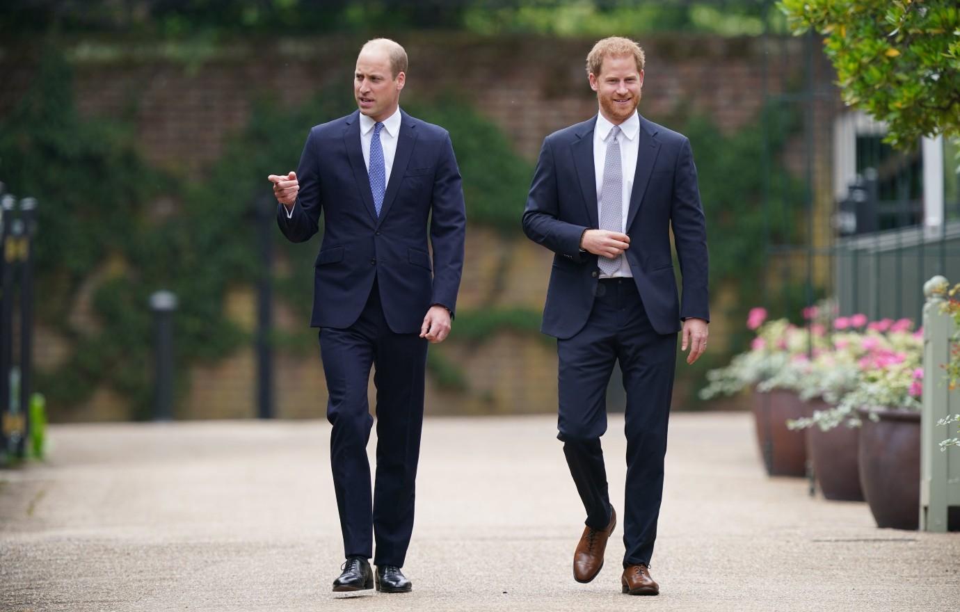 prince harry doc squashed chance prince william forgiving