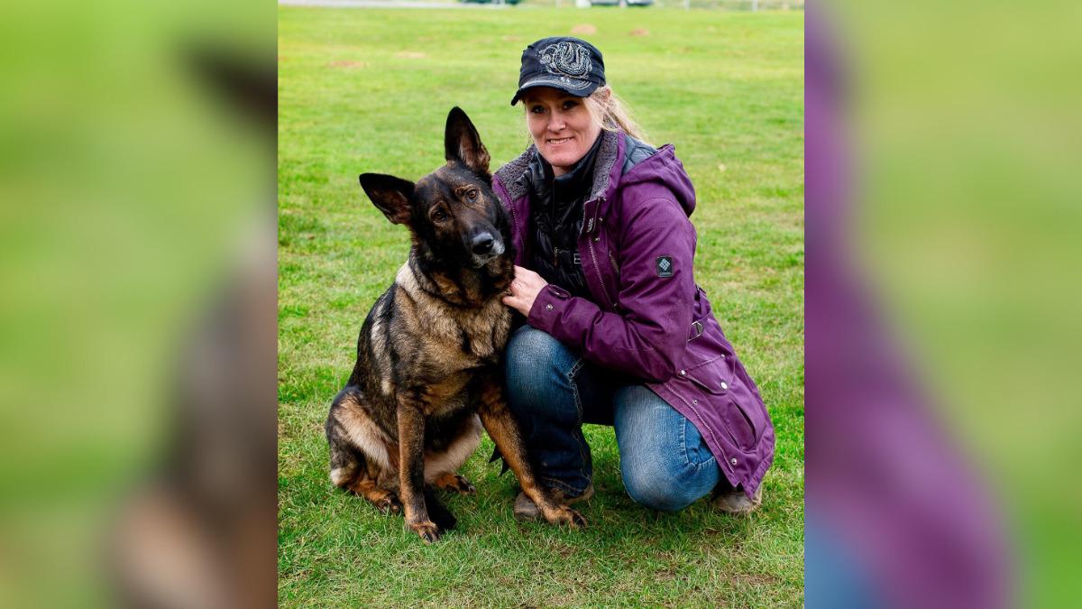 understanding how dogs think belynda moores  year mission to transform owner mindset through dog psychology