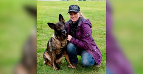 understanding how dogs think belynda moores year mission to transform owner mindset through dog psychology