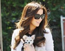 2009__10__main_hkate 225×176.jpg