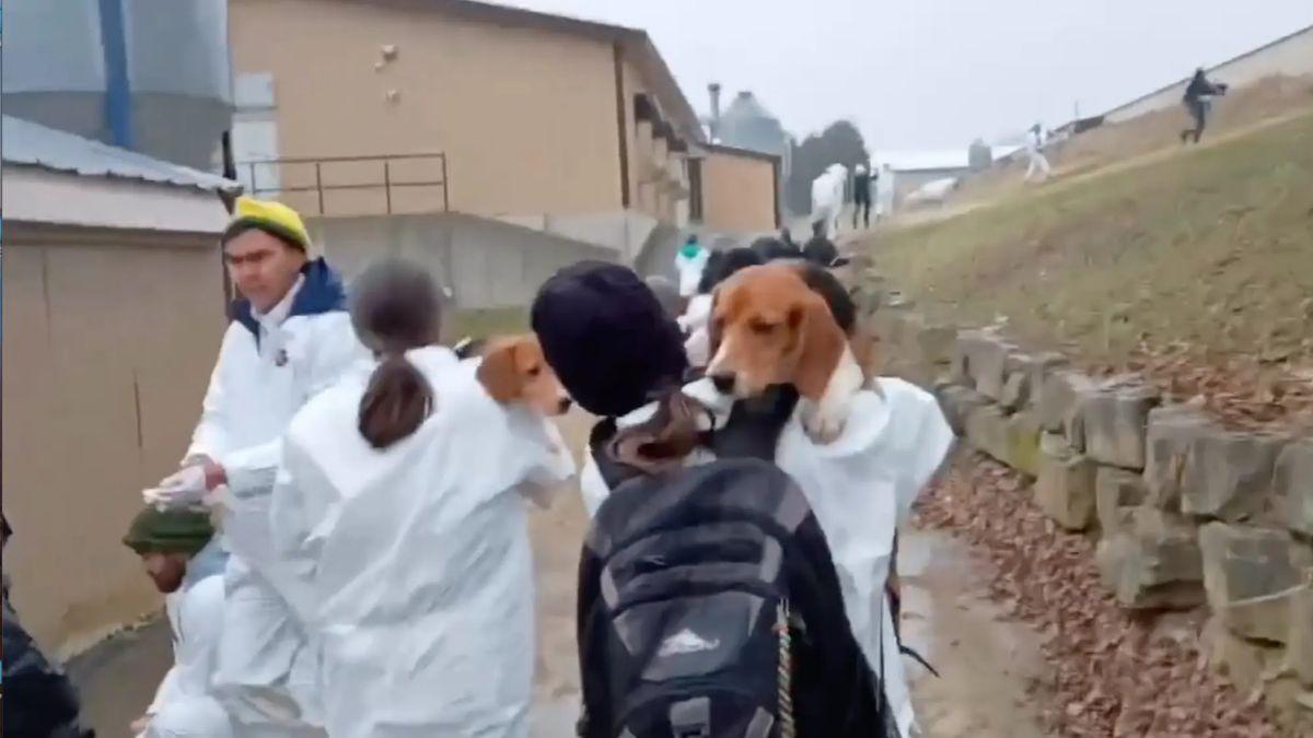 image of Approximately 60 people were involved in the protest.