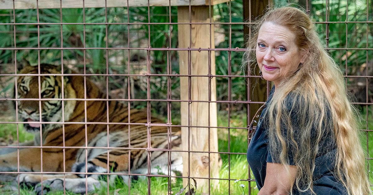 carole baskin sues netflix tiger king  footage joe exotic ok