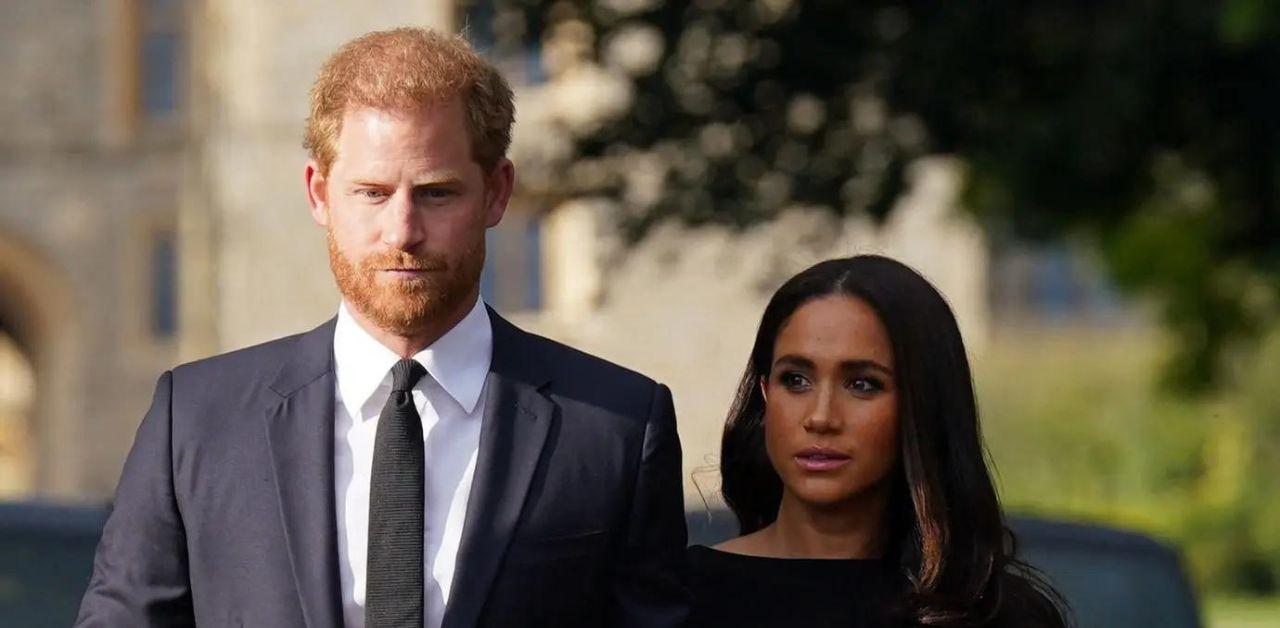 meghan markle prince harry cant handle political world