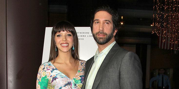 david schwimmer custody battle