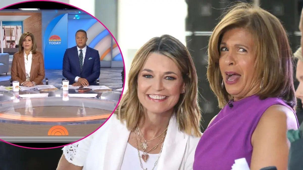 Composite photo of Savannah Guthrie and Hoda Kotb