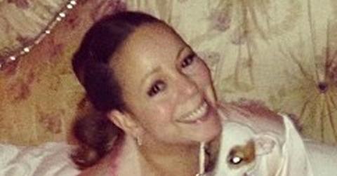 Mariah carey dogs
